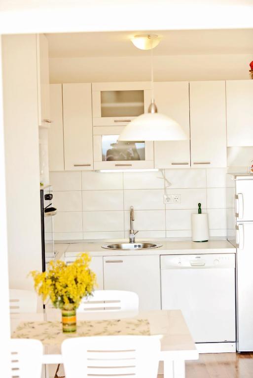 Apartment Center Niva