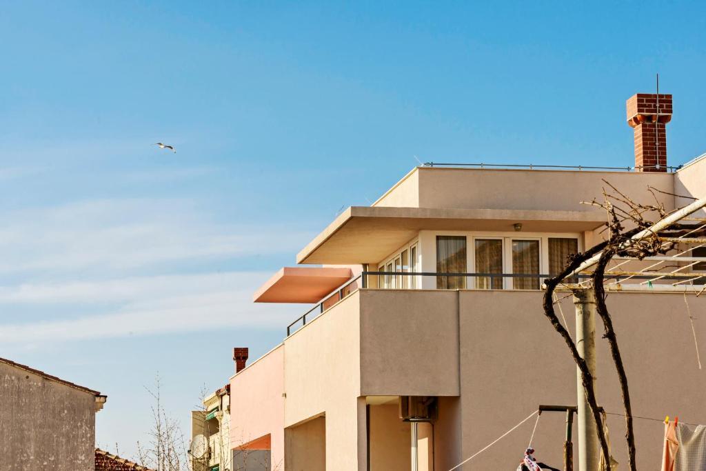 Apartment Center Niva